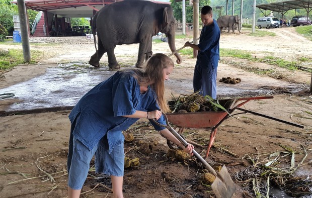 olifantenverzorger-voor-een-dag
